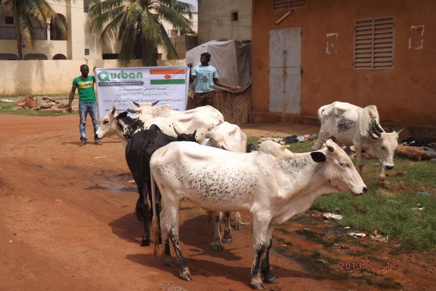 zakat, earthquake, floods, Islamic  charity, sadaqah, qurbani, orphan sponsorship, udhiyaa, lillah, iiyl family, tsumnami, iiyl charity , eid ul fitr,iiyl meat distribution