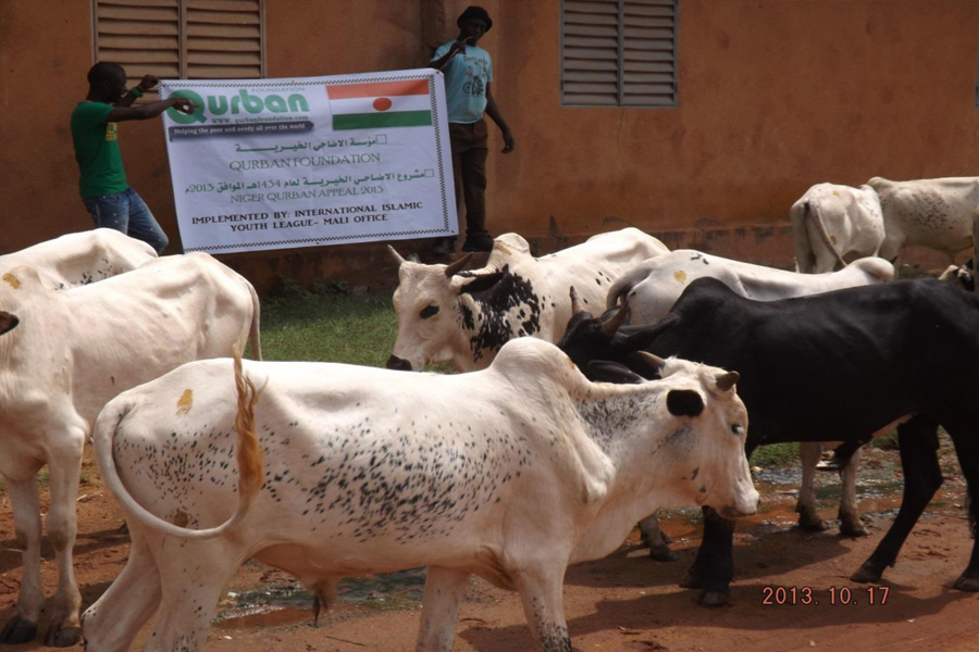 zakat, earthquake, floods, Islamic  charity, sadaqah, qurbani, orphan sponsorship, udhiyaa, lillah, iiyl family, tsumnami, iiyl charity , eid ul fitr,iiyl meat distribution