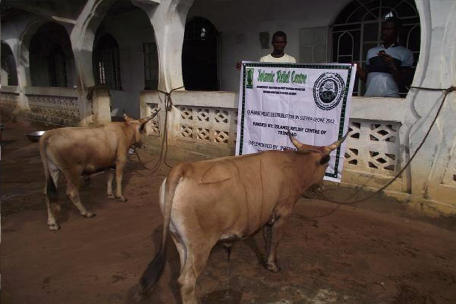 zakat, earthquake, floods, Islamic  charity, sadaqah, qurbani, orphan sponsorship, udhiyaa, lillah, iiyl family, tsumnami, iiyl charity , eid ul fitr,iiyl meat distribution